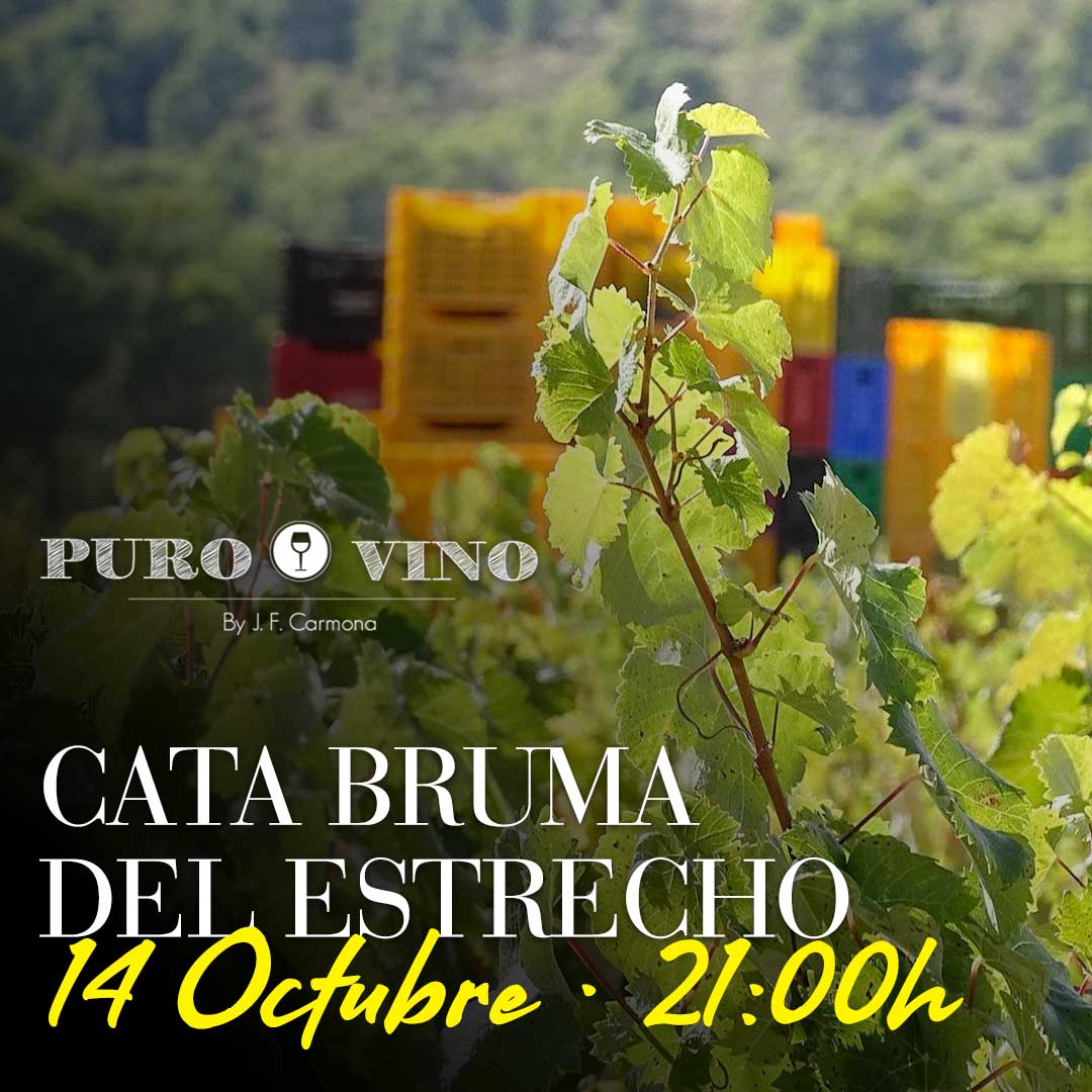 Cata Bruma del estrecho